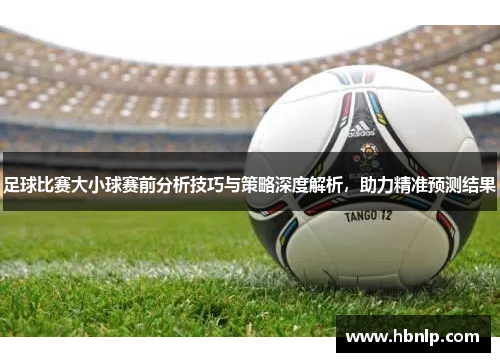足球比赛大小球赛前分析技巧与策略深度解析，助力精准预测结果