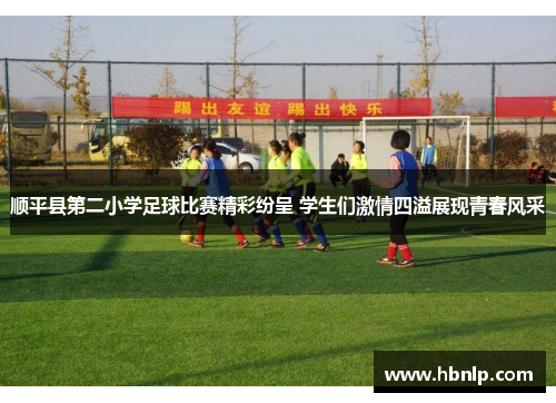 顺平县第二小学足球比赛精彩纷呈 学生们激情四溢展现青春风采